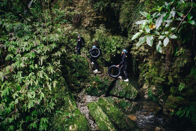 Black Abyss: Ultimate Waitomo Caving - Private Tour from Auckland - Is $775.10 per person good value?