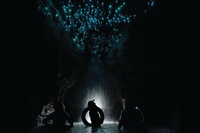 Black Water Rafting Experience Waitomo Caves Tour - Key things to know before you book