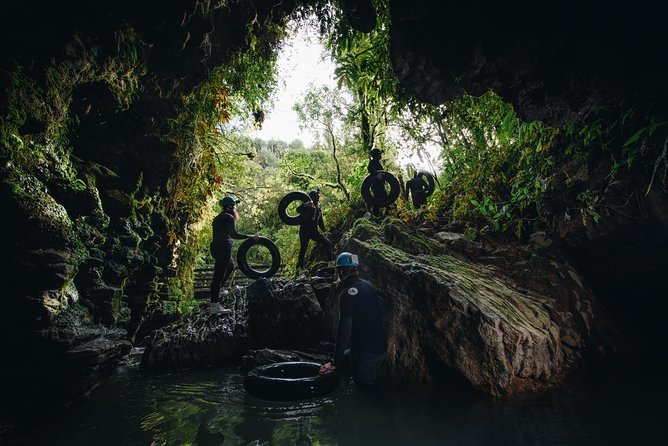 Black Water Rafting Experience Waitomo Caves Tour - What the $119.77 price buys you