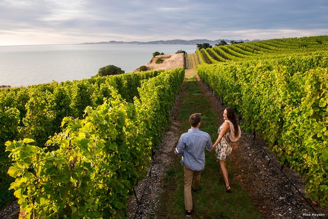 Blenheim Half day Wine Tour - Pickup from Blenheim and the road into wine country
