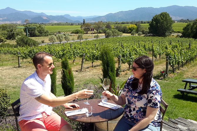 Blenheim Half day Wine Tour - Lunch at a vineyard, with the bill separate