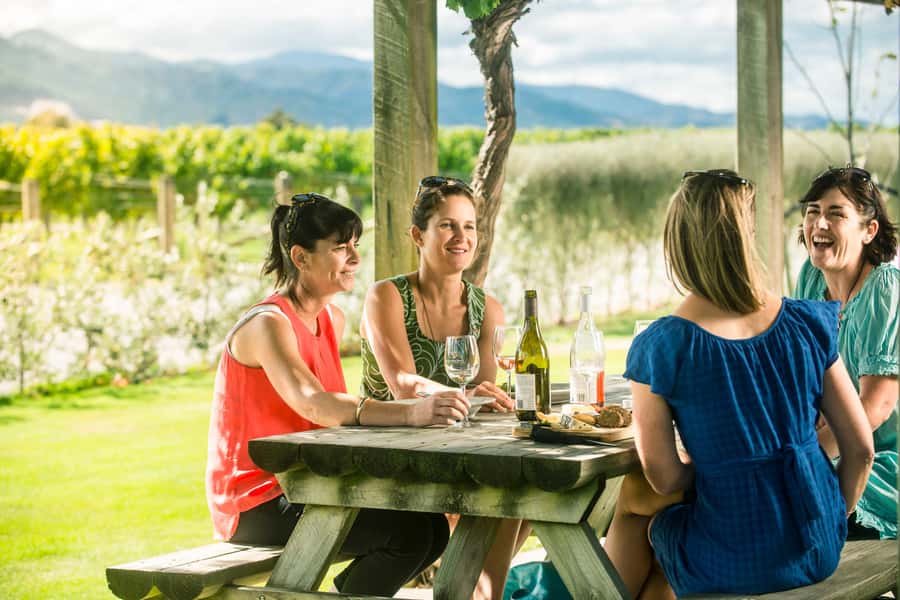 Blenheim/Renwick: Marlborough Half-Day Wine Tour with Lunch - First vineyard stop and the scenic drive