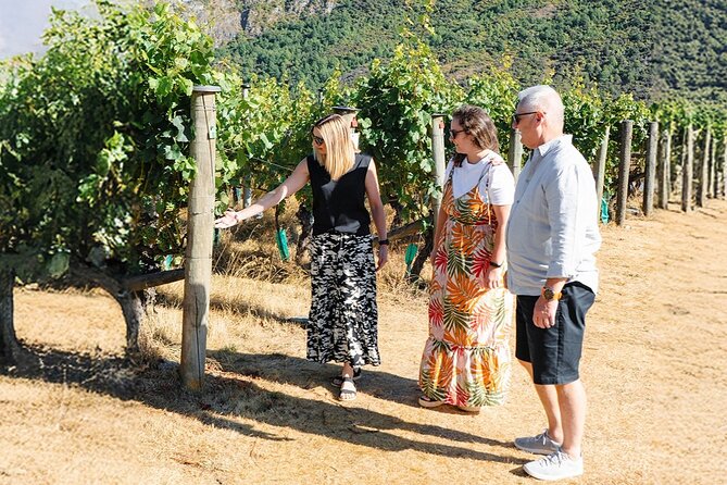 Boutique Wine Tour - visit Central Otago, 4 Wineries & Lunch - Cromwell focuses on variety in the glass
