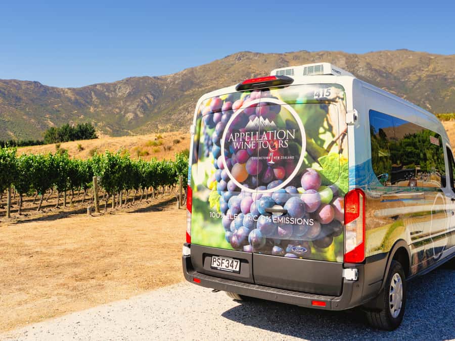 Boutique Winery Half-Day Tour & Vineyard Platter-Style Lunch - Who will enjoy this wine tour most