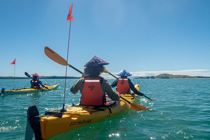 Browns Island Motukorea Sea Kayak Tour - Why Browns Island makes a better destination than a simple paddle