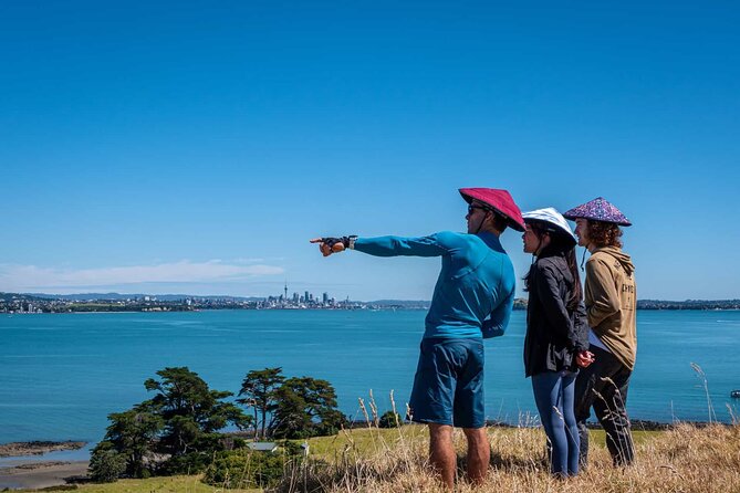 Browns Island Motukorea Sea Kayak Tour - What the guide can add to the day
