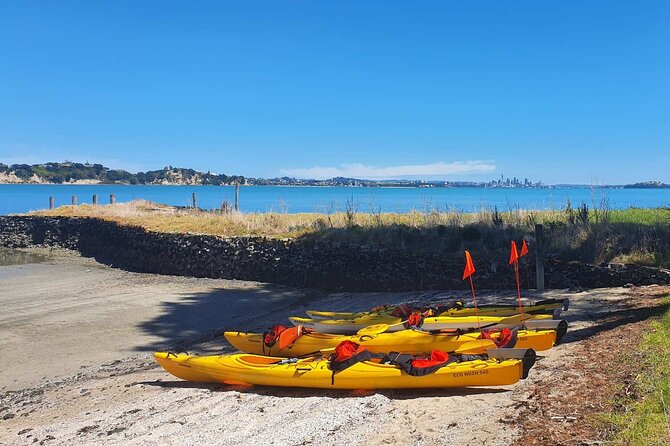 Browns Island Motukorea Sea Kayak Tour - Starting at St Heliers Bay at 10am