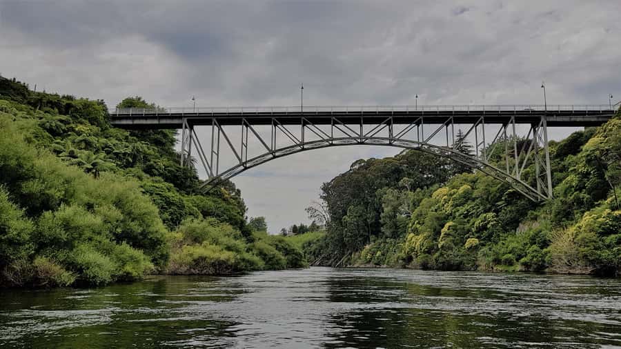 Cambridge, Matamata, Waitomo: 1-Hour Ecological River Cruise - Cambridge Gorge and the narrow Waikato River