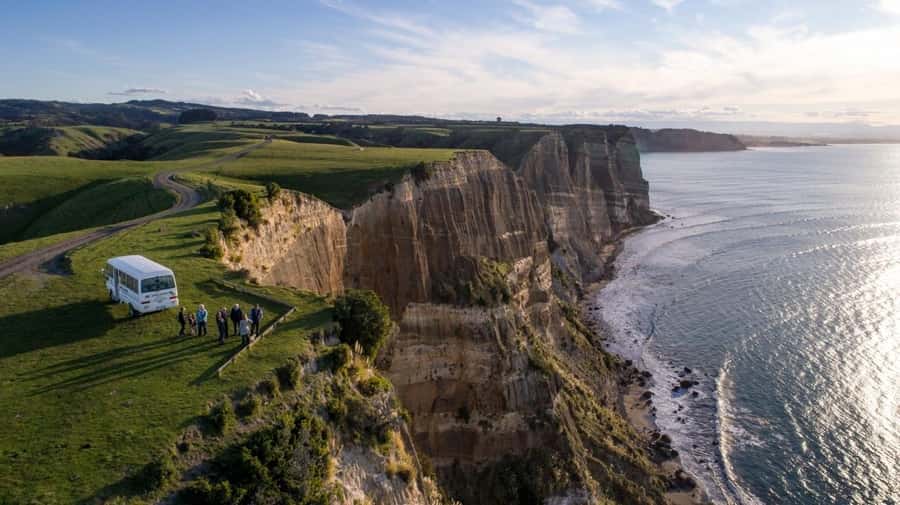 Cape Kidnappers Gannet Colony Private Tour - Key points to know before you book