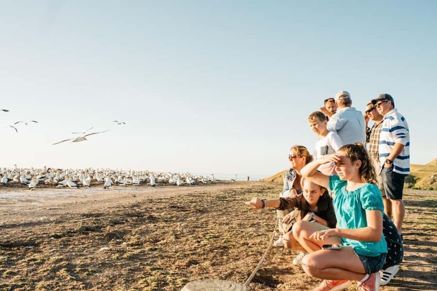 Cape Kidnappers Gannet Colony Private Tour - Getting to know Cape Kidnappers Station