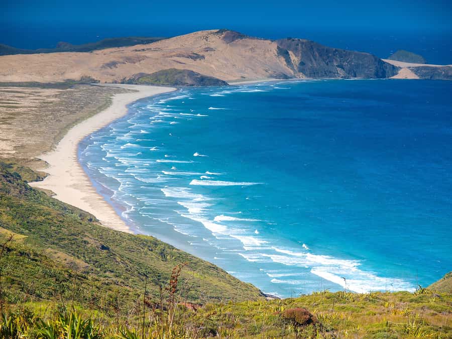 Cape Reinga: Day Trip from Paihia, Kerikeri, or Kaitaia - A long road to New Zealand’s northern edge