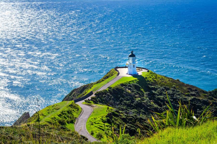 Cape Reinga: Day Trip from Paihia, Kerikeri, or Kaitaia - Walking the southern end of 90 Mile Beach