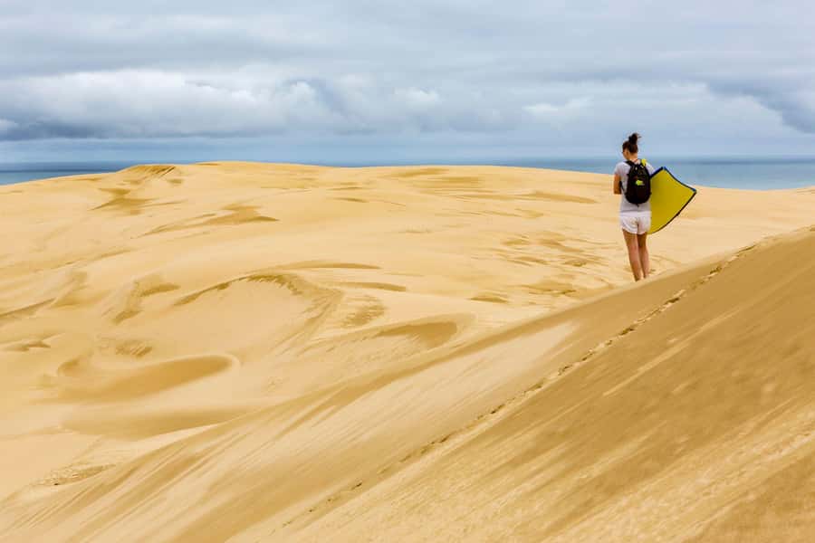 Cape Reinga: Day Trip from Paihia, Kerikeri, or Kaitaia - Te Paki Stream turns the afternoon into playtime
