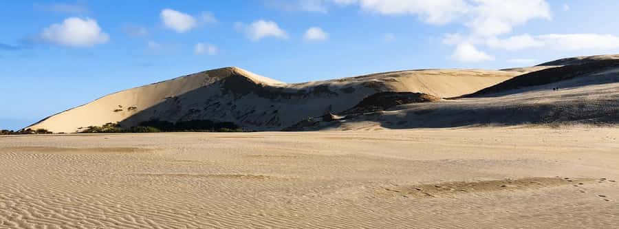 Cape Reinga: Day Trip from Paihia, Kerikeri, or Kaitaia - What is included, and what needs clarification