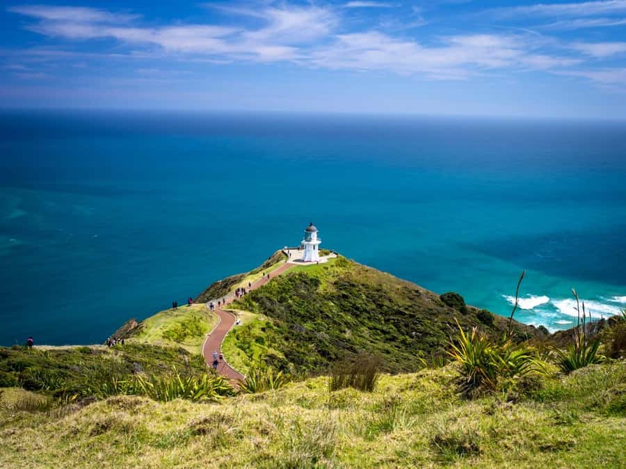 Cape Reinga: Day Trip from Paihia, Kerikeri, or Kaitaia - Cape Reinga and the meeting of two seas