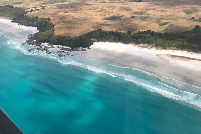 Cape Reinga Half-Day Tour Including Scenic Flight - Flying over Ninety Mile Beach