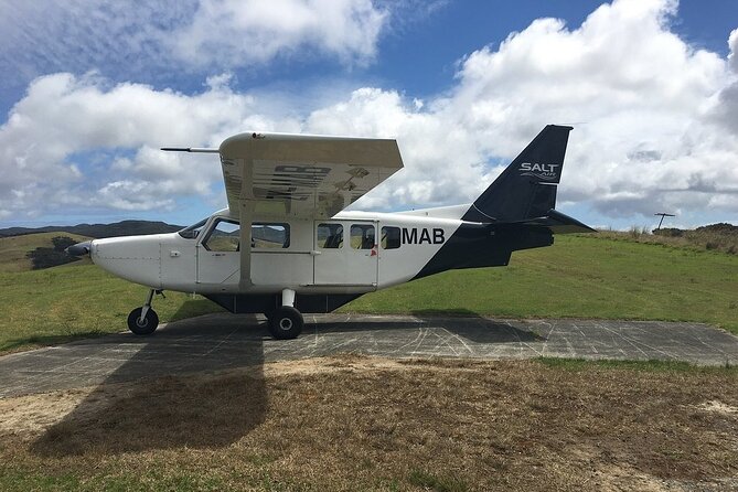 Cape Reinga Half-Day Tour Including Scenic Flight - Setting off from the Bay of Islands
