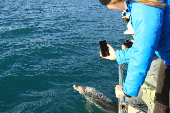 Captain Cook and Dolphin Cruise - Ship Cove and the Captain Cook story