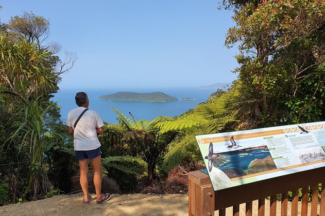 Captain Cook and Dolphin Cruise - The crew makes the difference