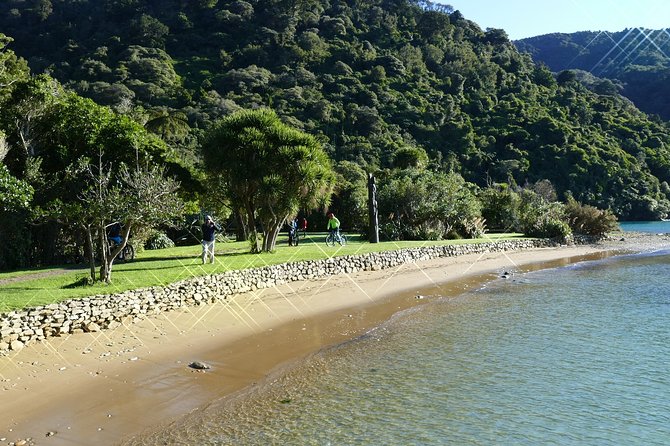 Captain Cook and Dolphin Cruise - Price, group size, and comfort