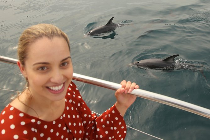 Captain Cook and Dolphin Cruise - Who will enjoy this cruise most
