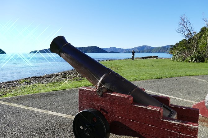 Captain Cook and Dolphin Cruise - Booking, cancellation, and small practical details