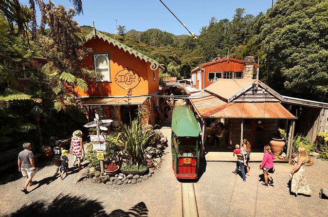 Captivating Railway Journey in Coromandel - EyeFull Tower and the Hauraki Gulf view