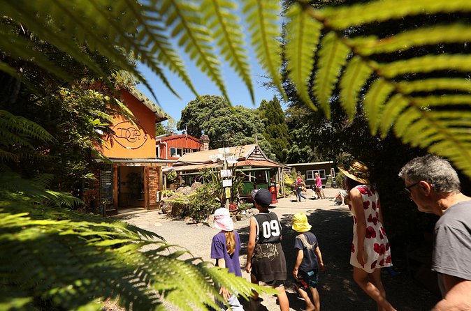 Captivating Railway Journey in Coromandel - Is $35.37 good value?