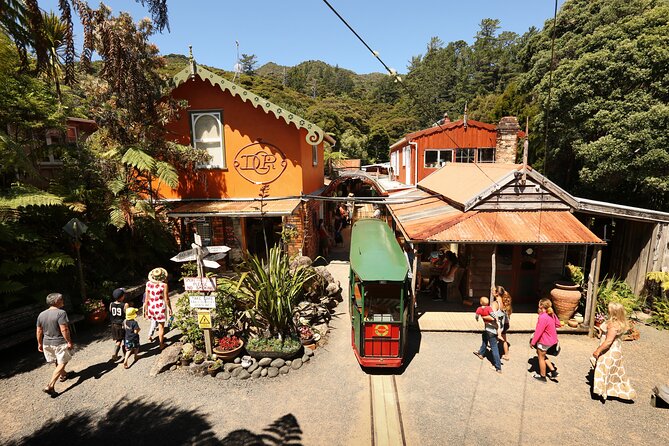 Captivating Railway Journey in Coromandel - The climb through native forest