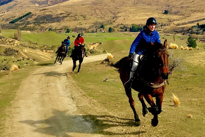 Cardrona High Country Pub Trail Horse Trek (Intermediate level+) - River crossings and the road to the pub