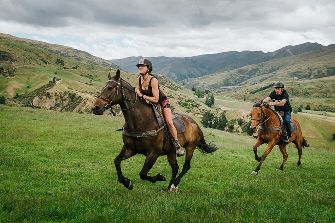 Cardrona High Country Pub Trail Horse Trek (Intermediate level+) - What the guides do well