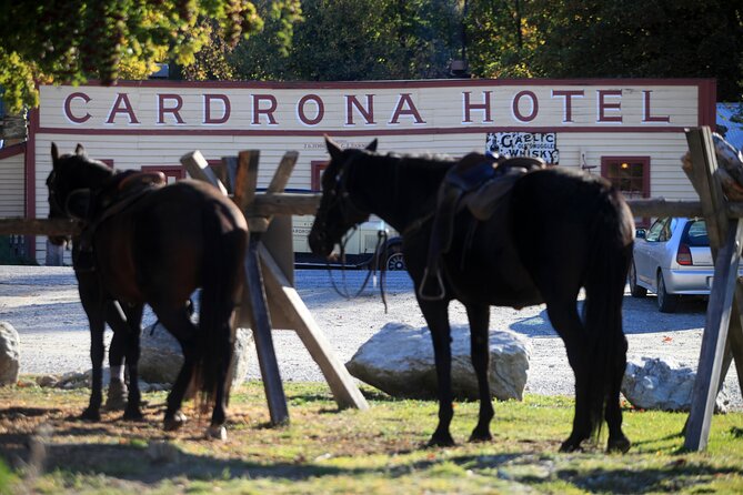Cardrona High Country Pub Trail Horse Trek (Intermediate level+) - How much value do you get for $433.78?