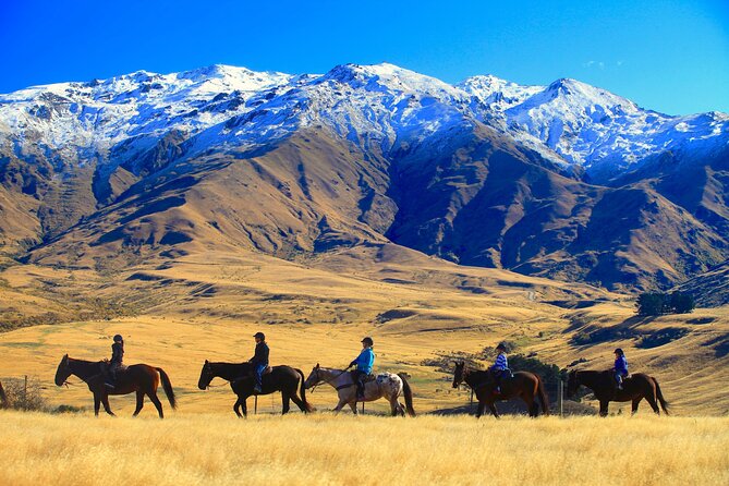 Cardrona High Country Pub Trail Horse Trek (Intermediate level+) - The ride up through farm and mountain country