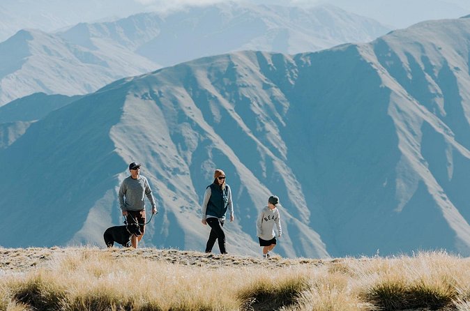 Cardrona Summer Gondola Sightseeing Pass - Is $21.72 good value?