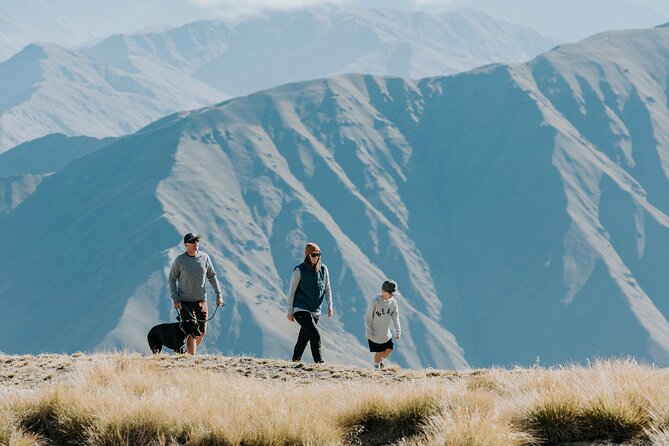 Cardrona Summer Gondola Sightseeing Pass - Who will enjoy this most?
