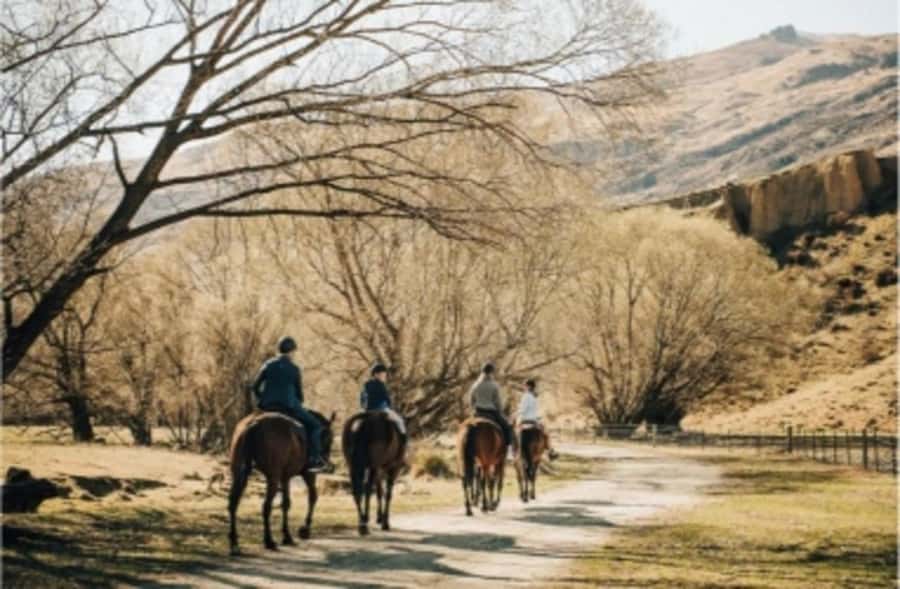 Cardrona Valley: Horse Trekking Experience - Meeting a horse with its own personality