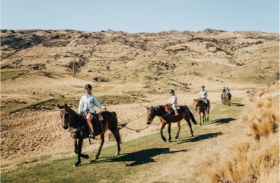 Cardrona Valley: Horse Trekking Experience - Is $298 good value?