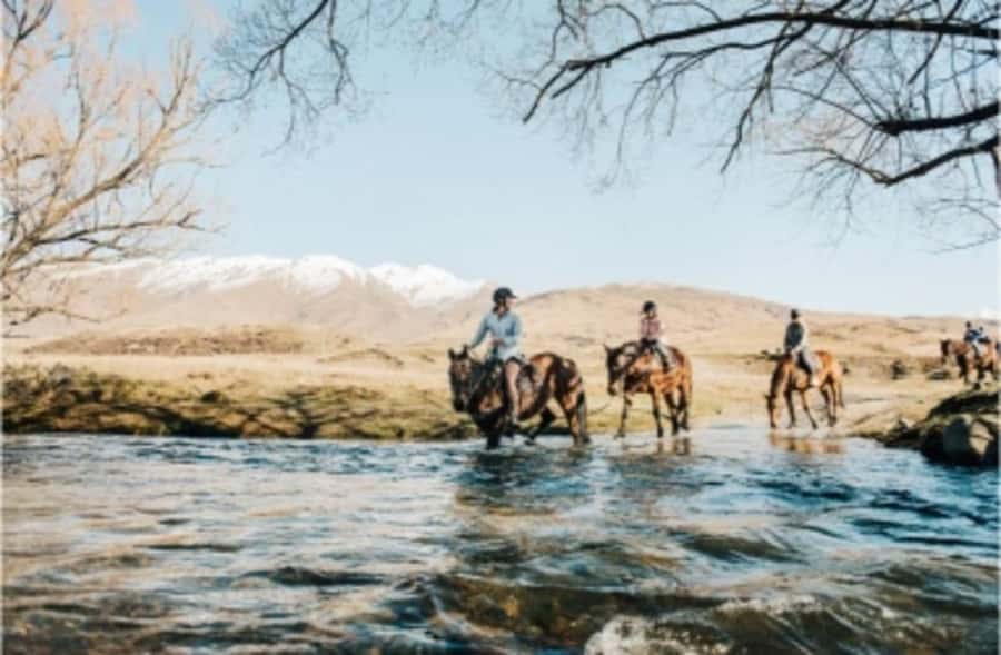 Cardrona Valley: Horse Trekking Experience - Practical details that affect your day