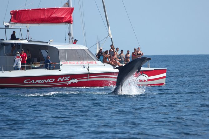Carino Wildlife Cruises - Island and Wildlife Day Cruise - Key points to know before you book
