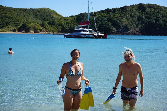 Carino Wildlife Cruises - Island and Wildlife Day Cruise - Sailing out of Paihia at 9:00 a.m.