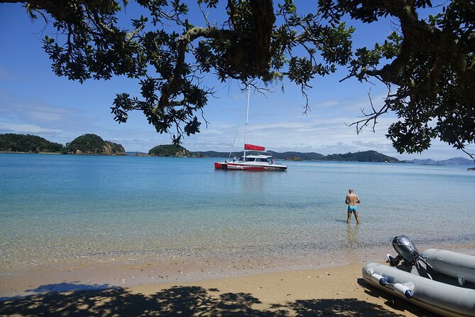 Carino Wildlife Cruises - Island and Wildlife Day Cruise - Why the smaller group matters