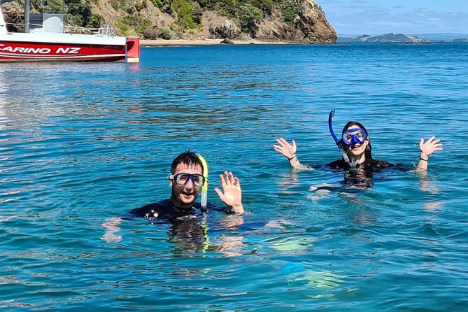 Carino Wildlife Cruises - Island and Wildlife Day Cruise - A conservation-minded way to watch wildlife