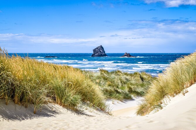 Castle, Coast & City Tour - 8 pax max - Castle Entrance Included - Key details that shape the day