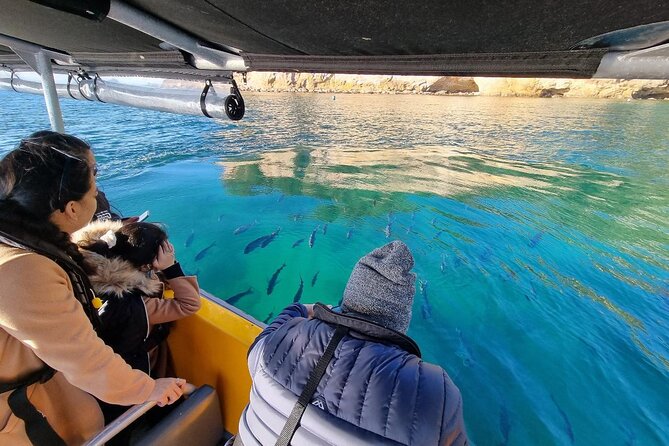 Cathedral Cove 2 Hour Guided Tour Explore Marine Wonders - Starting at Tairua Marina