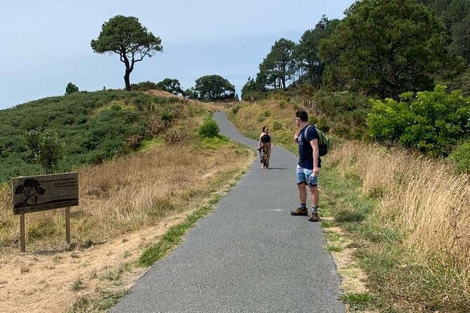 Cathedral Cove and Hot Water Beach Scenic Day Tour from Auckland - Why the guide matters on this route
