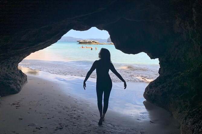 Cathedral Cove and Hot Water Beach Scenic Day Tour from Auckland - Who should book this day trip