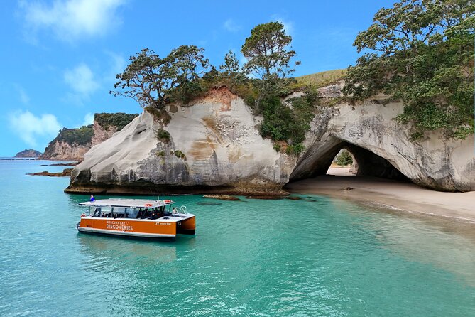 Cathedral Cove Coast and Cave Activity - What makes this Cathedral Cove cruise worth your time