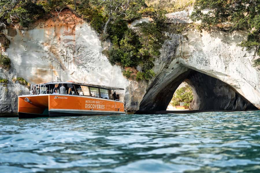 Cathedral Cove Coast and Cave Tour - Why the coast is best seen from a boat