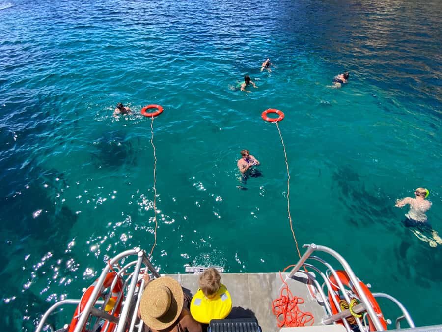 Cathedral Cove Coast and Cave Tour - Entering Orua Sea Cave