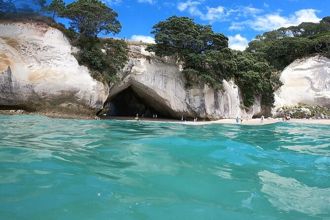 Cathedral Cove & Coromandel Peninsula Small-Group Day Tours - The essential points at a glance